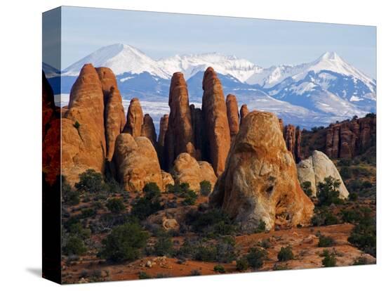 Stretched Canvas Print, , large