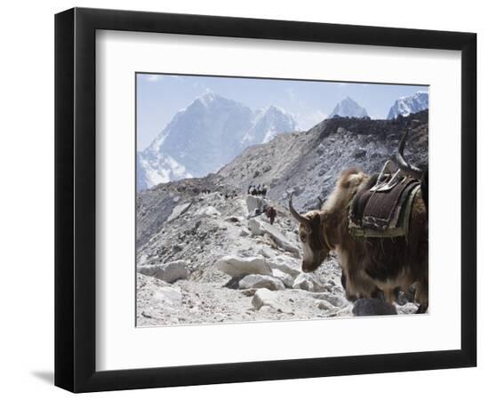 Photographic Print, , large