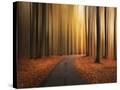 Stretched Canvas