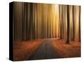 Stretched Canvas