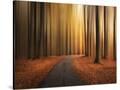 Stretched Canvas