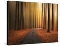 Stretched Canvas