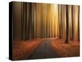 Stretched Canvas