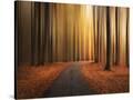 Stretched Canvas