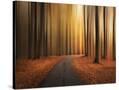 Stretched Canvas