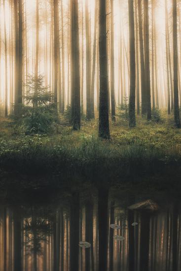 Photographic Print, , large