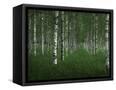 Canvas Black