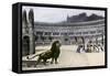 Christian Martyrs Facing Hungry Lions in the Colisseum, Ancient Rome-null-Framed Stretched Canvas