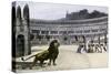 Christian Martyrs Facing Hungry Lions in the Colisseum, Ancient Rome-null-Stretched Canvas