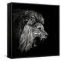 Canvas Black