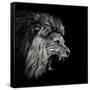 Canvas Black