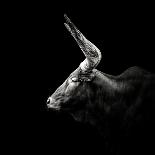 Watusi-Christian Meermann-Photographic Print