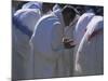 Christian Men at Prayer During Mass in the Church at Woolisso, Shoa Province, Ethiopia-Bruno Barbier-Mounted Photographic Print