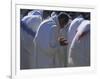 Christian Men at Prayer During Mass in the Church at Woolisso, Shoa Province, Ethiopia-Bruno Barbier-Framed Photographic Print