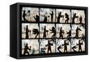 Canvas Black
