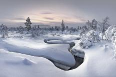 Lappland - Winterwonderland-Christian Schweiger-Stretched Canvas