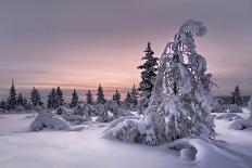 Lappland - Winterwonderland-Christian Schweiger-Photographic Print