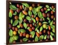 Gramercy Espresso