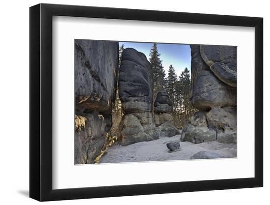 Premium Photographic Print, , large