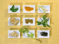 Asian Herbs and Spices-Christiane Krüger-Stretched Canvas