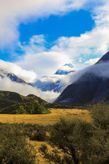 Premium Photographic Print, , large