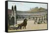 Christians vs. Lions, Roman Coliseum-null-Framed Stretched Canvas