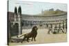 Christians vs. Lions, Roman Coliseum-null-Stretched Canvas