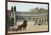 Christians vs. Lions, Roman Coliseum-null-Framed Art Print