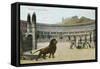Christians vs. Lions, Roman Coliseum-null-Framed Stretched Canvas