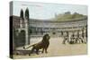 Christians vs. Lions, Roman Coliseum-null-Stretched Canvas