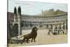 Christians vs. Lions, Roman Coliseum-null-Stretched Canvas