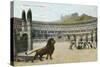 Christians vs. Lions, Roman Coliseum-null-Stretched Canvas