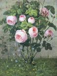 The Rose Bush-Christie Loumand-Laminated Giclee Print