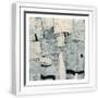 White Frame