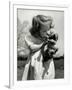 Christina Goldsmith Kissing a Weimaraner Puppy from Her Father's Stock of Weimaraner Hunting Dogs-Bernard Hoffman-Framed Photographic Print