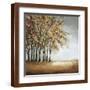 Brown Frame