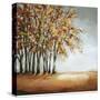 Stretched Canvas