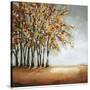 Stretched Canvas
