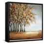 Canvas Black