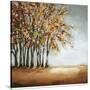 Stretched Canvas