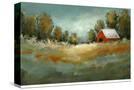 Stretched Canvas