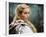 Christina Ricci - Sleepy Hollow-null-Framed Photo