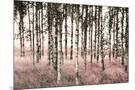 Wood Mount