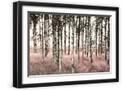 Black Frame