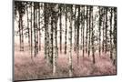 Wood Mount