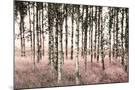 Wood Mount