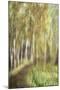 Wood Mount