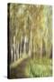 Stretched Canvas