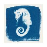 Cyan Seahorse-Christine Caldwell-Premium Giclee Print