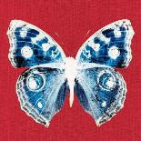 Scarlet Red Pop Butterfly-Christine Caldwell-Art Print